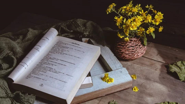 佰图集团丨出书之前要先做规划？